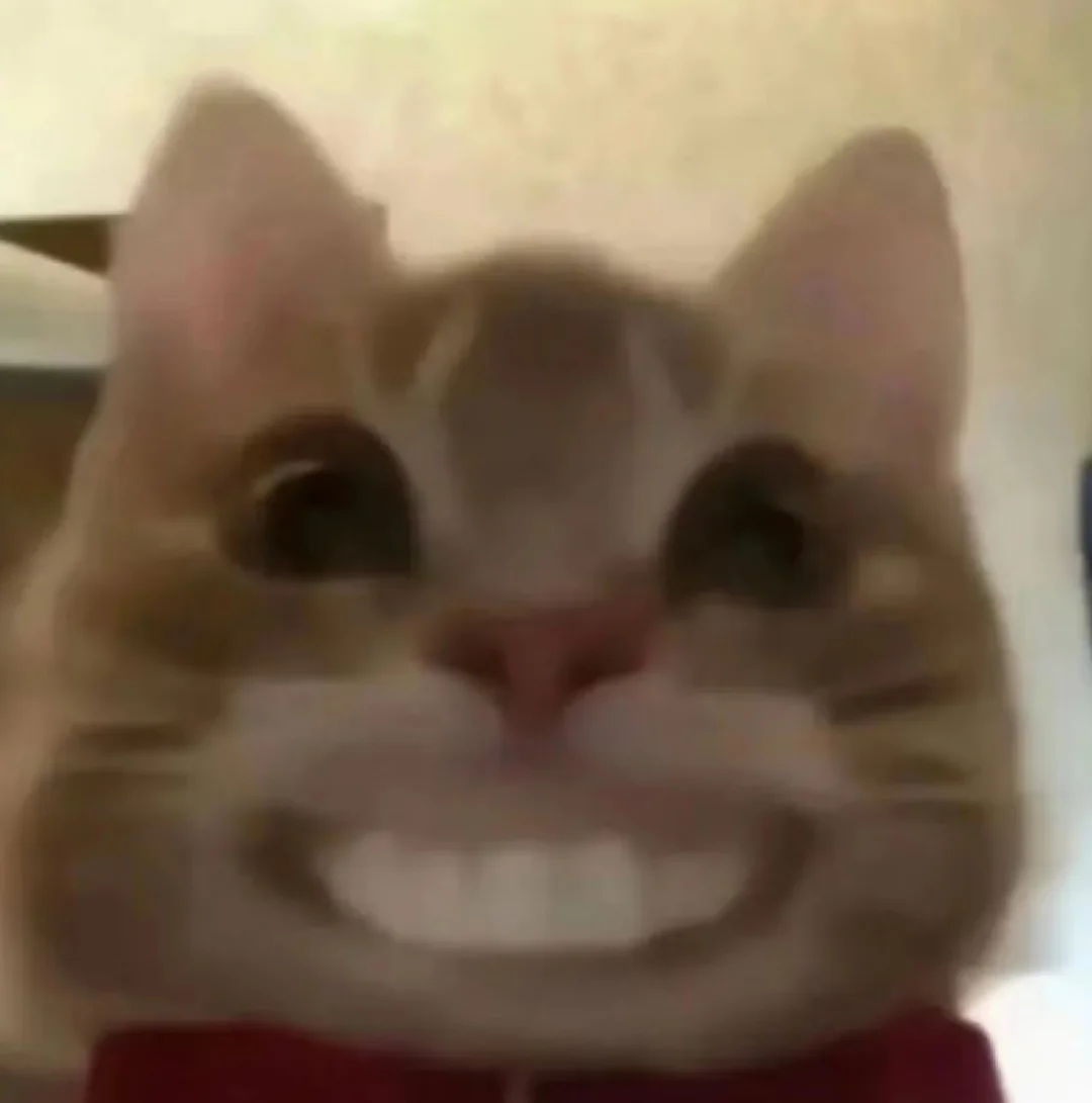 室友姐真的，离开你我怎么活啊呜呜🥹