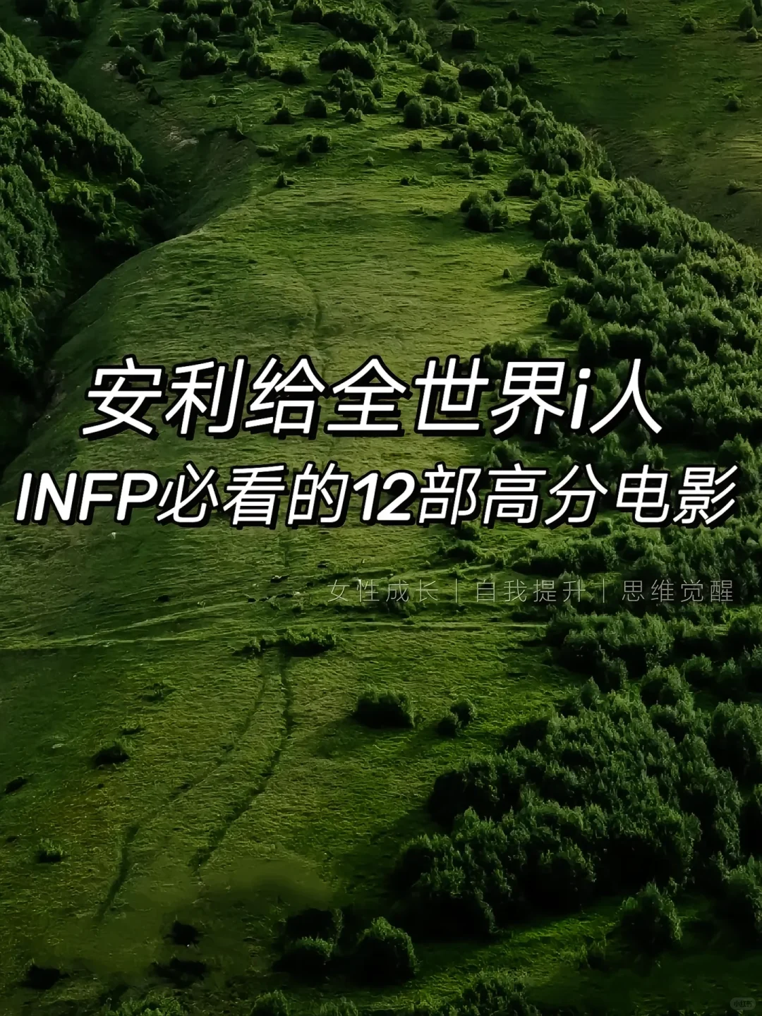 i人必看❗❗❗12部治愈系电影，治愈焦虑❗❗❗