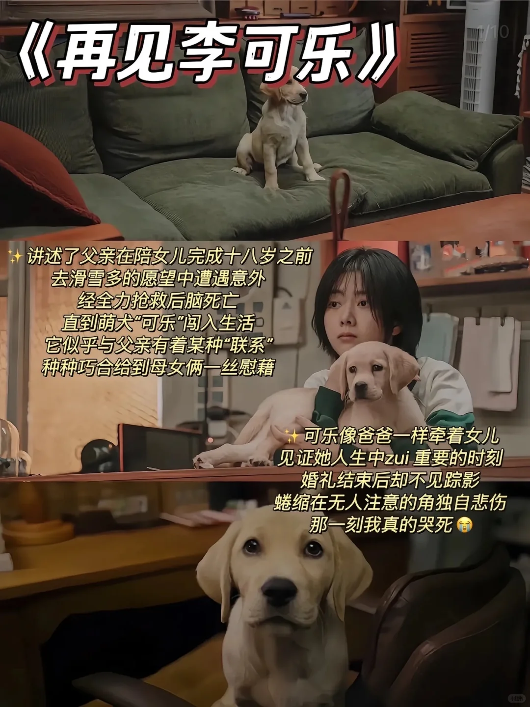 值得N刷的8部催泪电影❗️❗️❗️你看过哪部🔥🔥