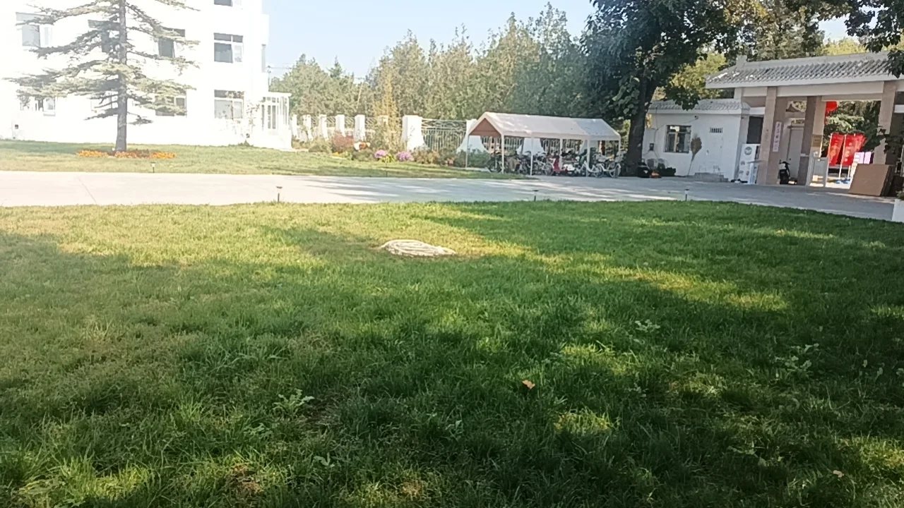 个人寻找软件开发团队