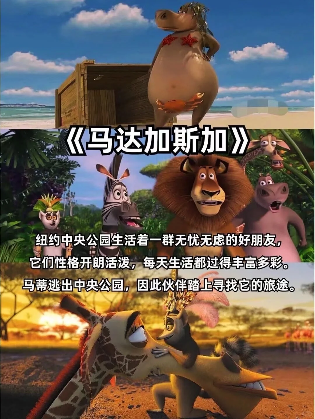 适合下班看的疗愈动漫电影🎬❗️❗️强烈推荐🔥