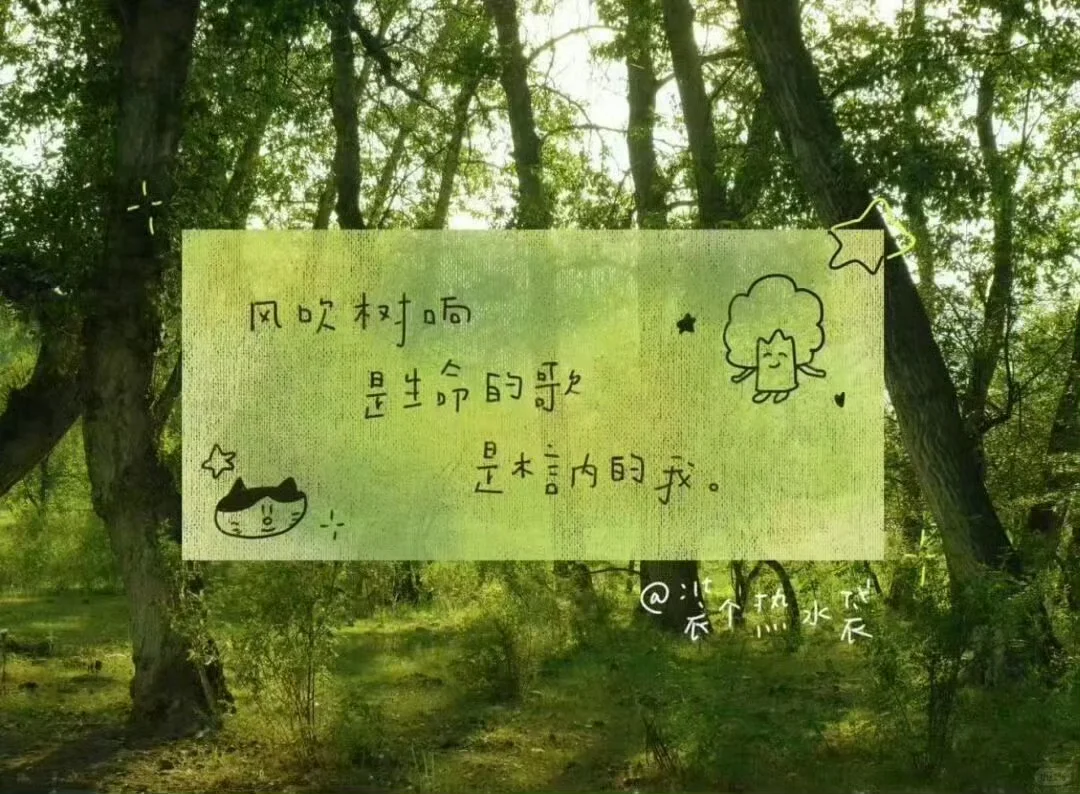 自取｜好有生命力的平板iPad壁纸～