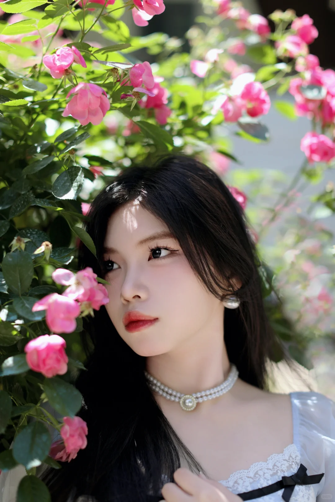 蔷薇香中美人绽