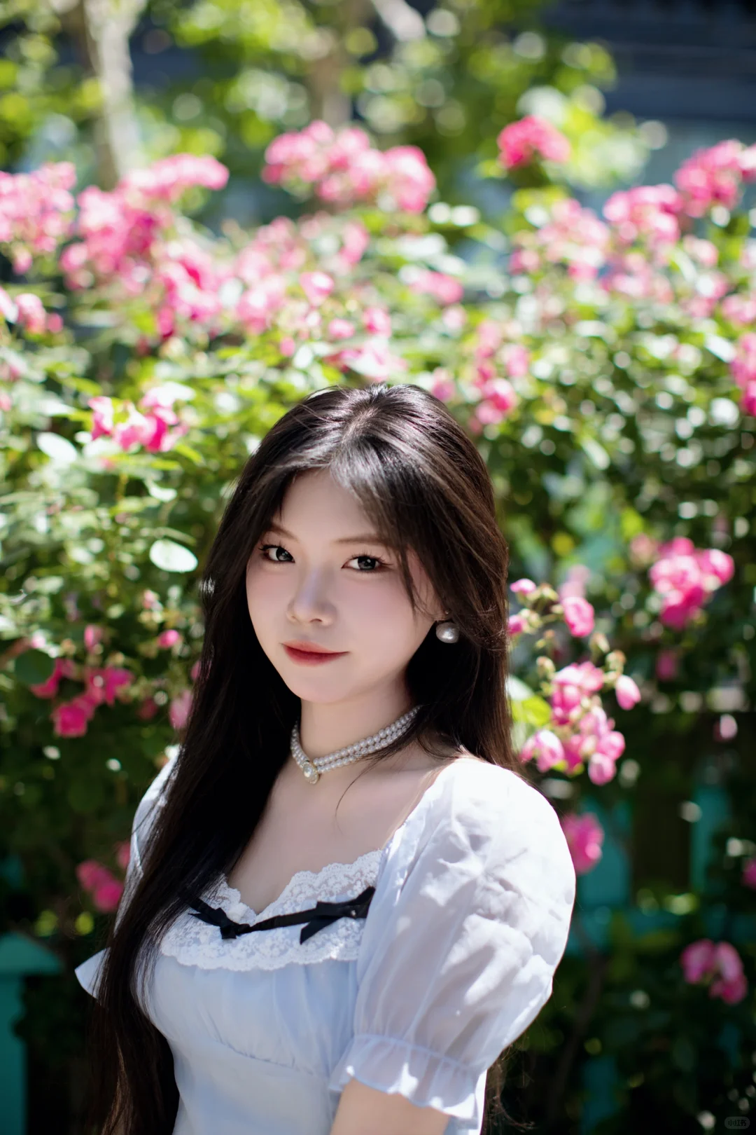 蔷薇香中美人绽