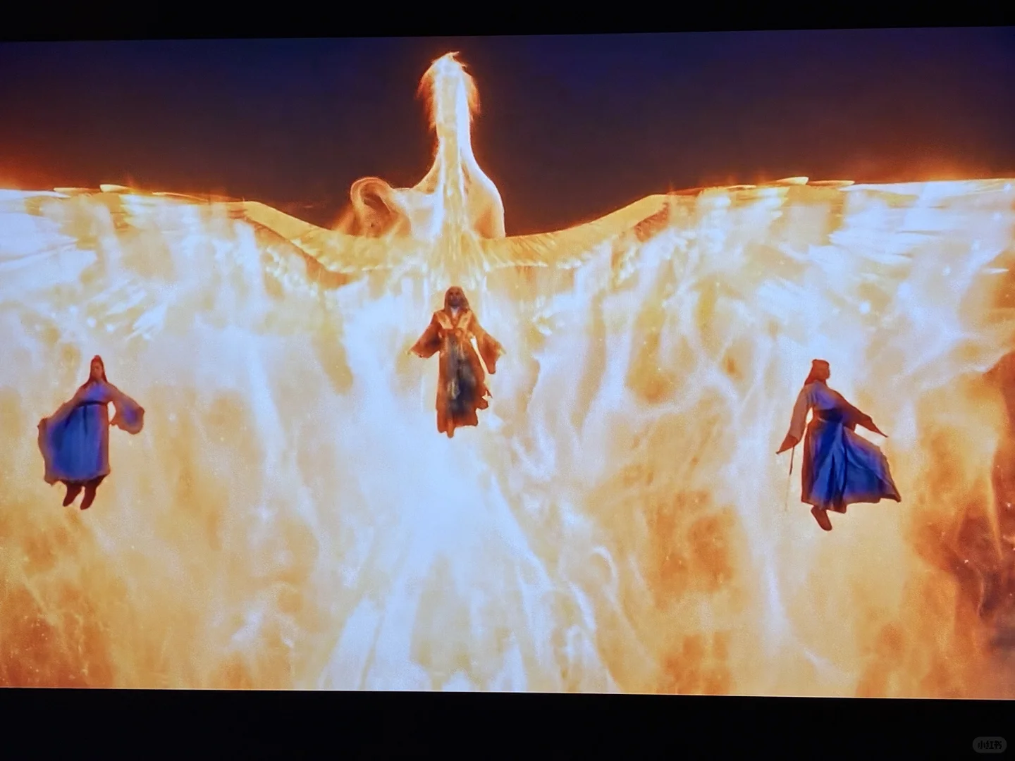 澳洲生活 凡人修仙传❤️