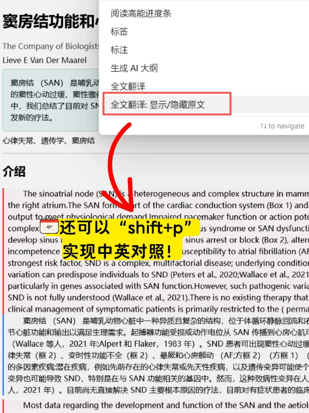 Zotero配置完插件后变得好漂亮