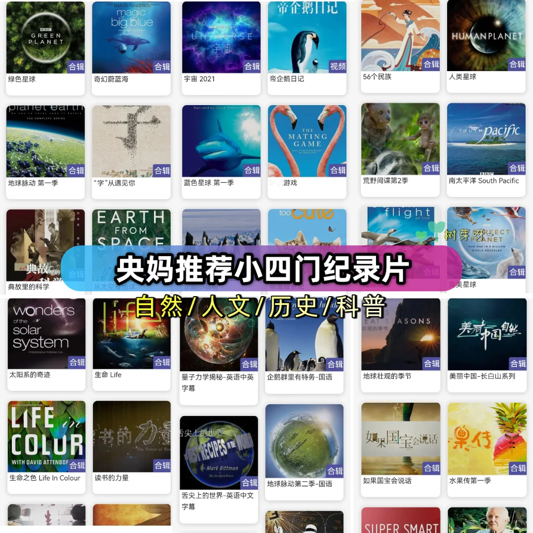 冷门宝藏全科启蒙app，妥妥捡到宝了！🎉