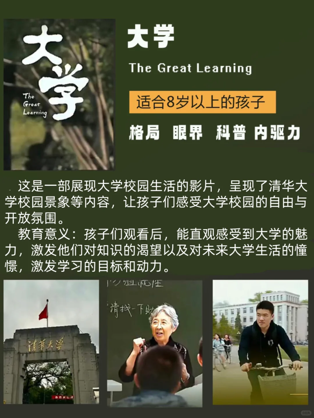 🔥宁可不上班，也要陪娃看的神级纪录片