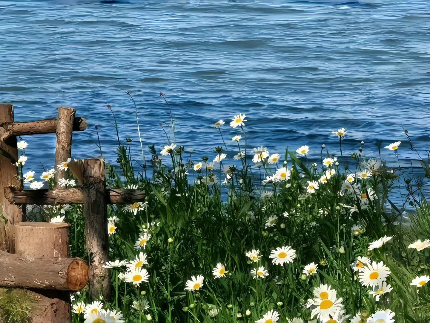 自取｜好有生命力的平板iPad壁纸～