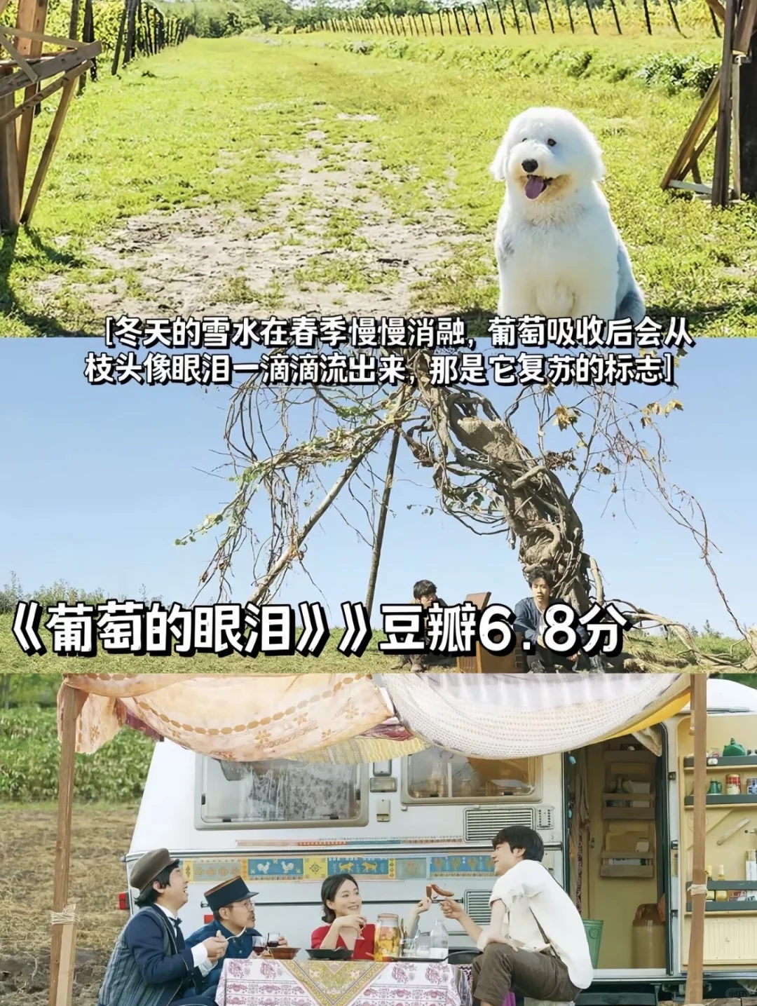 拒绝内耗，请狂刷这7部治愈系电影🎬