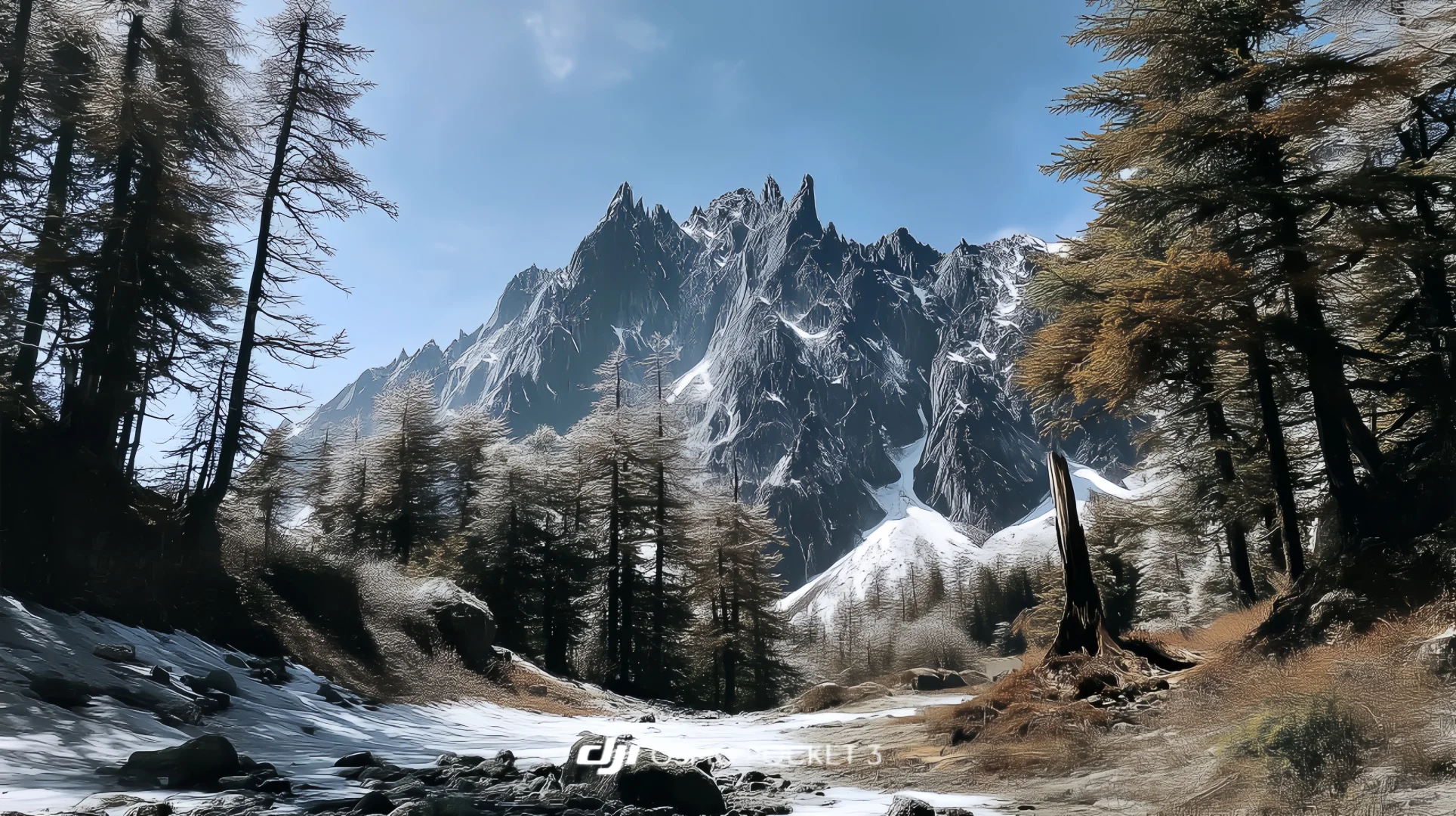 我愿称Pocket3为行走的电影感制造机！🎬附参