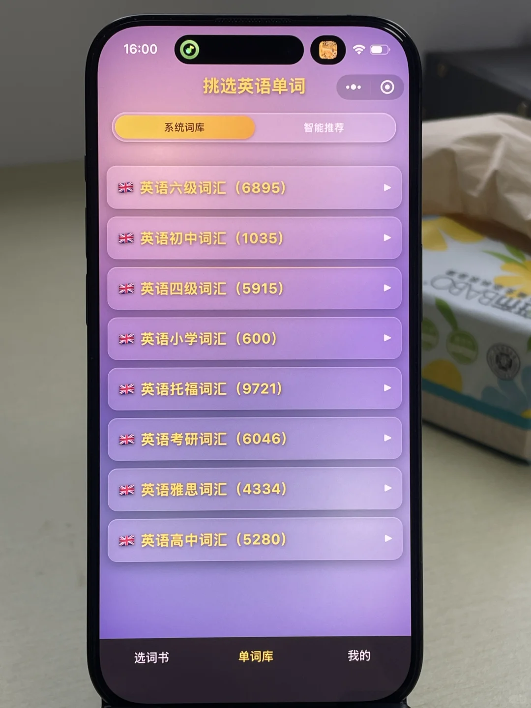 关于我开发的13国语言背单词软件