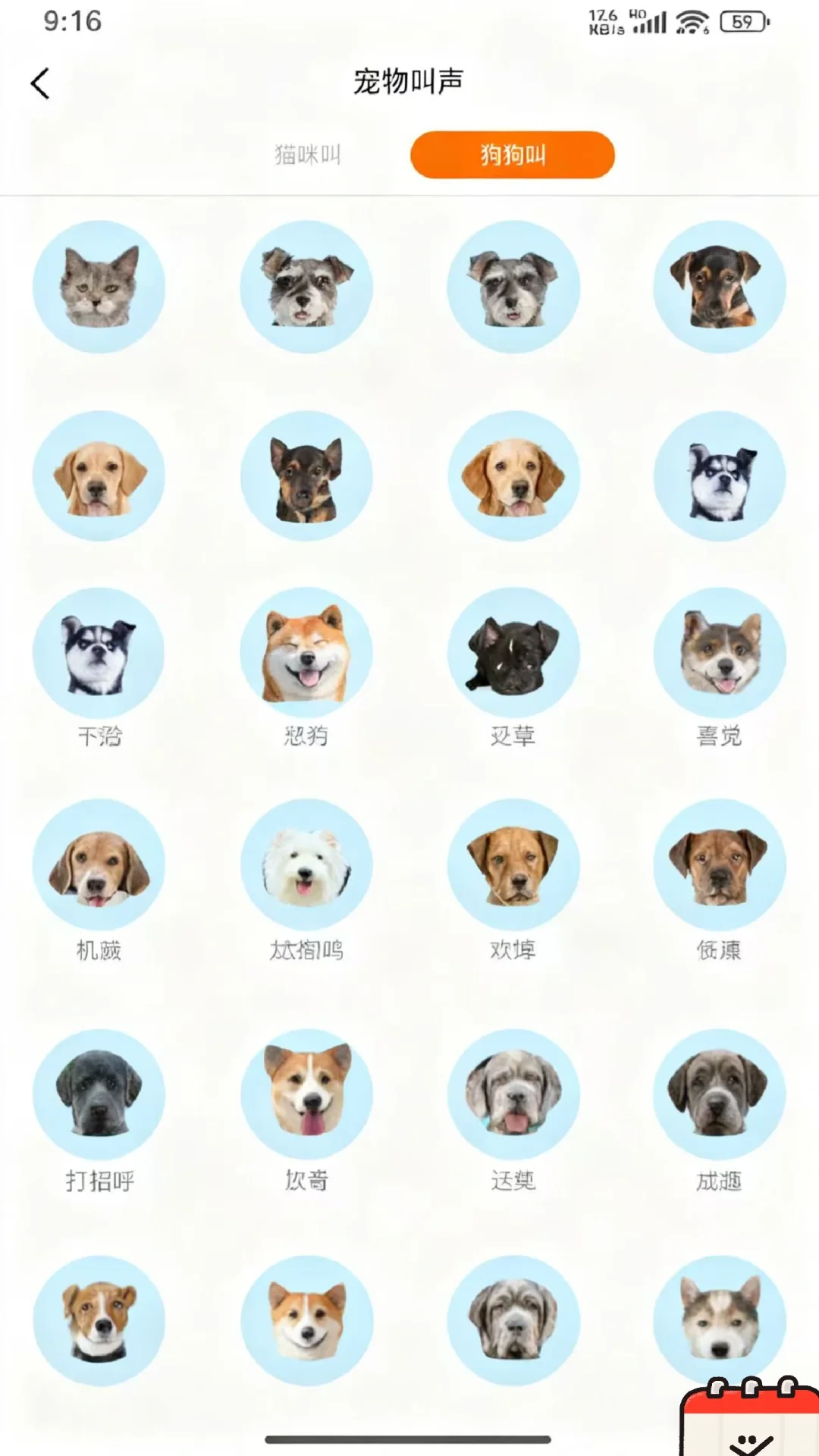 🐾能和动物聊天了!动物翻译器太神