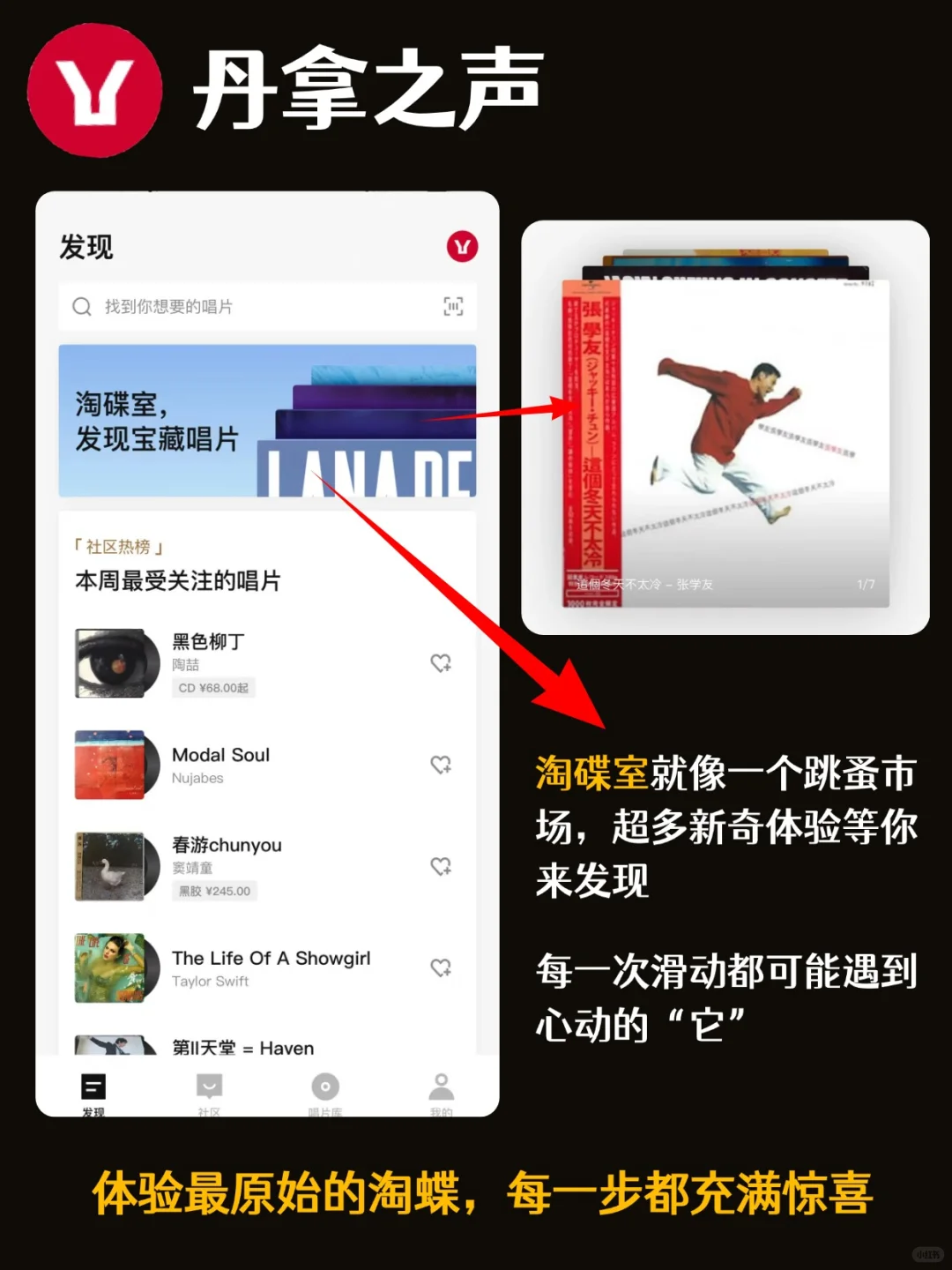 宝藏APP，让唱片迷彻底告别孤独✨
