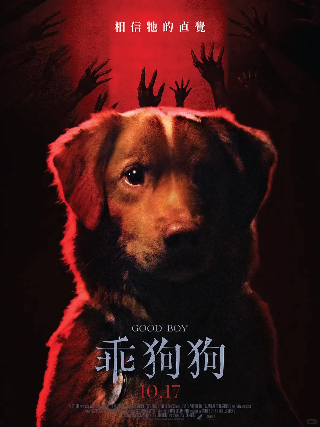 狗狗主演高口碑恐怖片🐶《好狗狗》今日上线❗