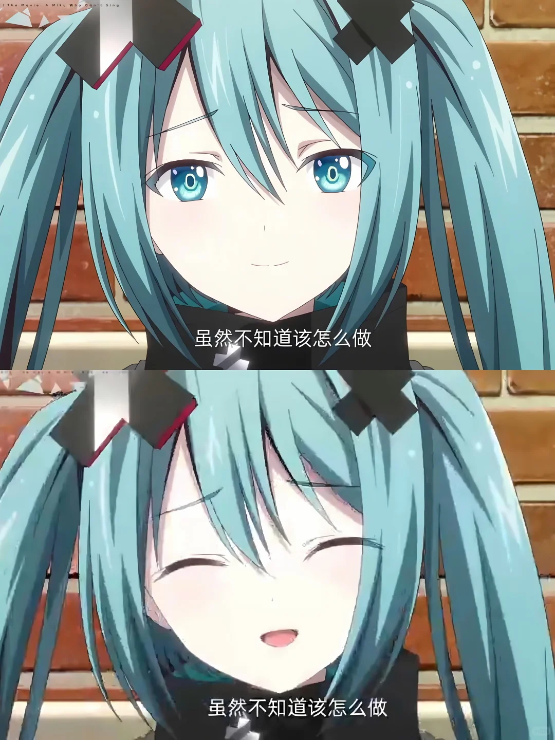 我要向全世界安利这部电影🌸真的超期待‼️