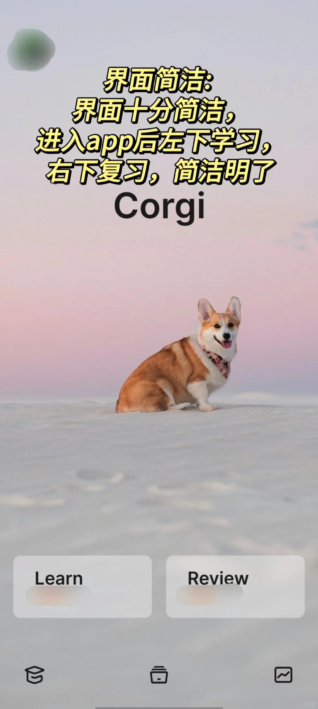 软件测评｜英语学习中，单词通通都到碗里来