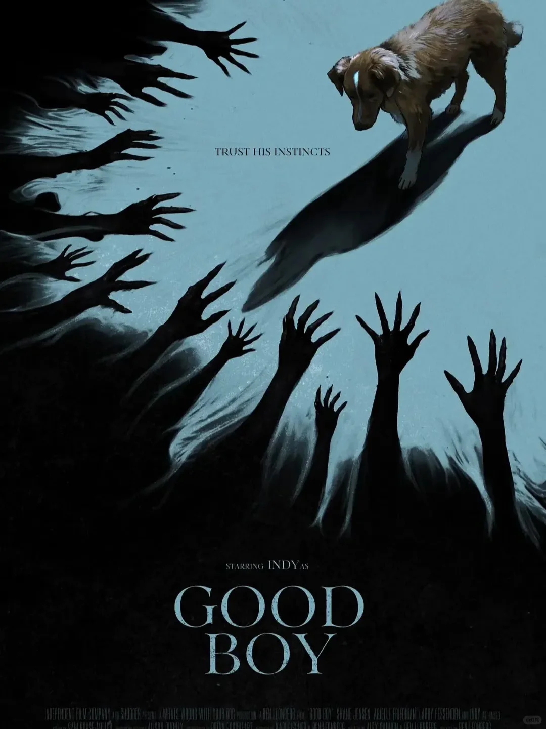 狗狗主演高口碑恐怖片🐶《好狗狗》今日上线❗