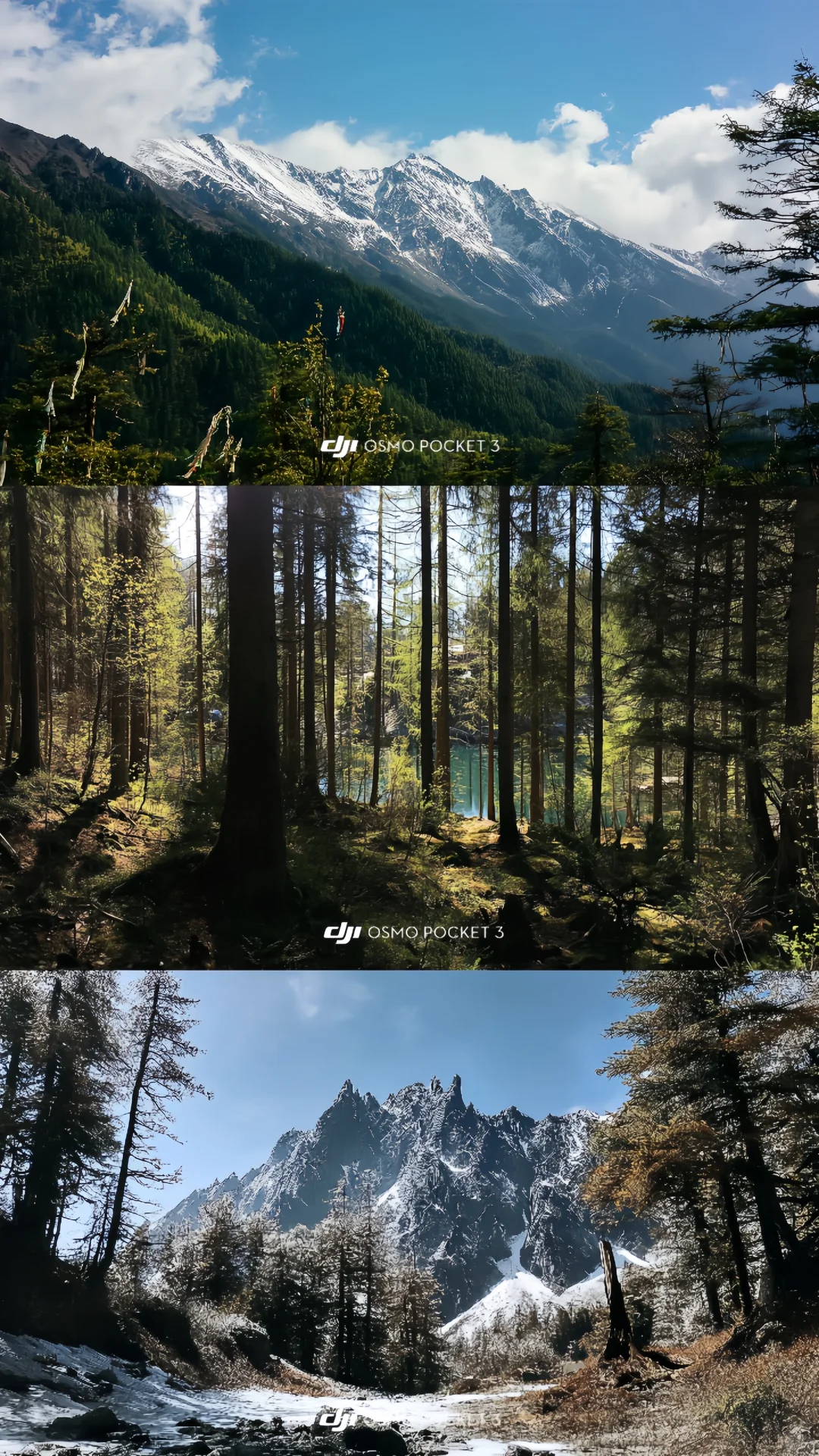 我愿称Pocket3为行走的电影感制造机！🎬附参