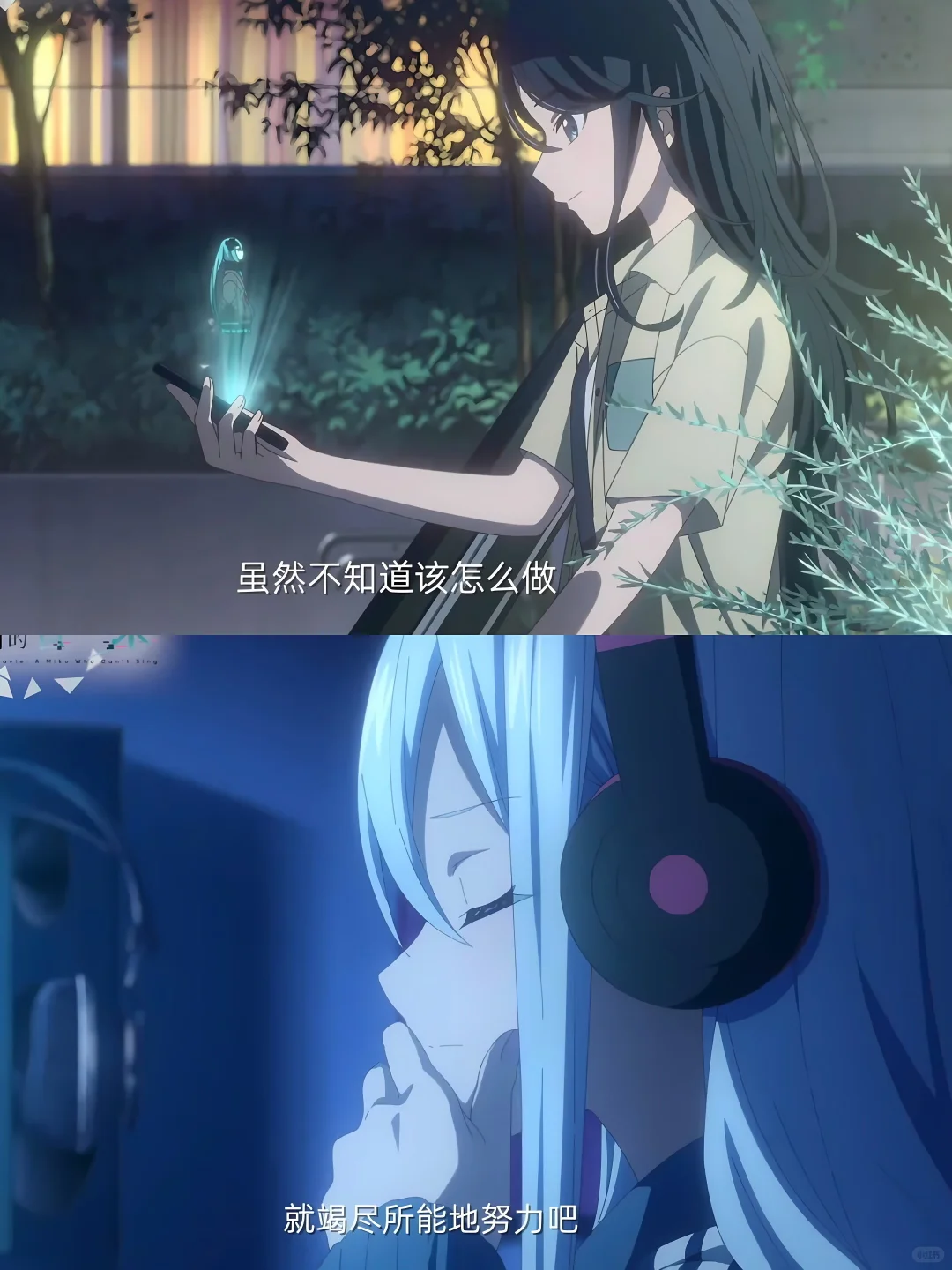 我要向全世界安利这部电影🌸真的超期待‼️