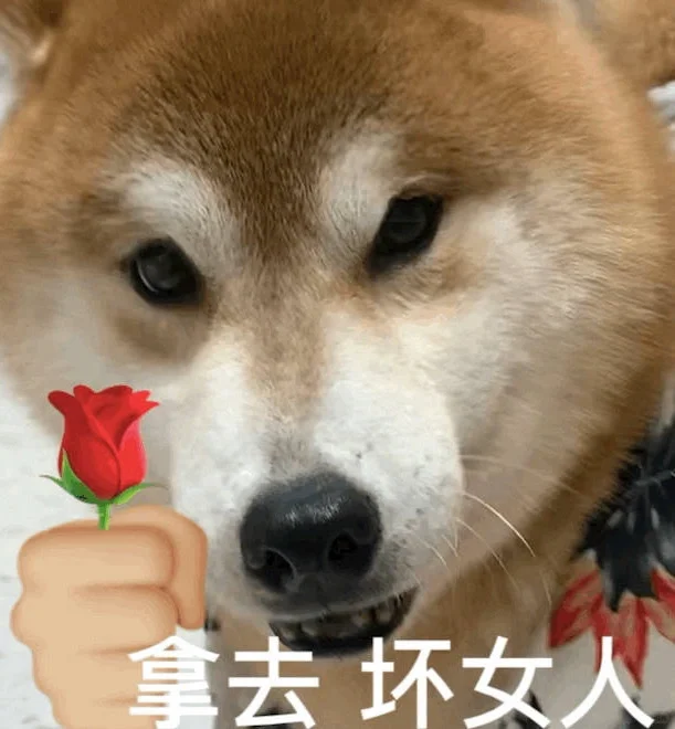 安利最爱用的AE脚本系列📒 top1️⃣TRUE COMP