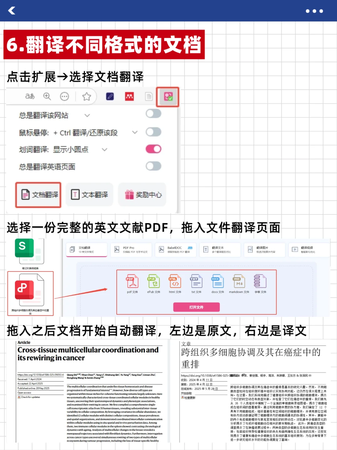 沉浸式翻译插件安装教程🔥科研小白必须会！