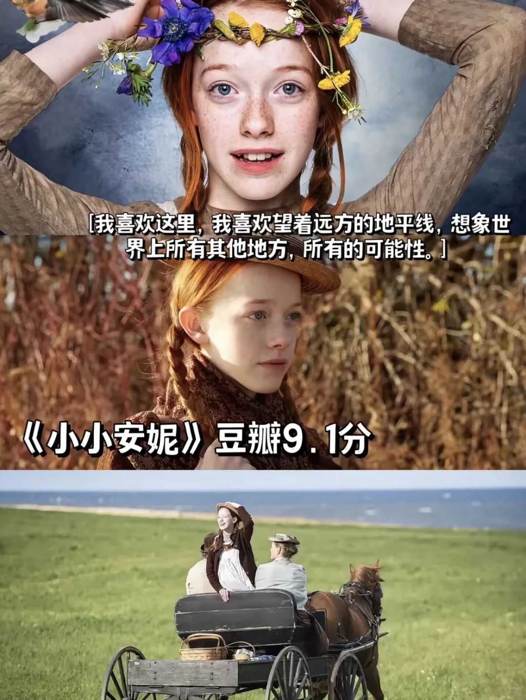 拒绝内耗，请狂刷这7部治愈系电影🎬