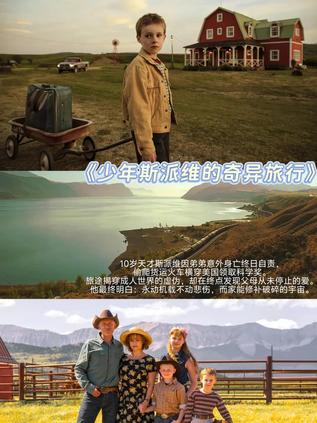 那些没刻在影史丰碑上，却留在我心里的电影