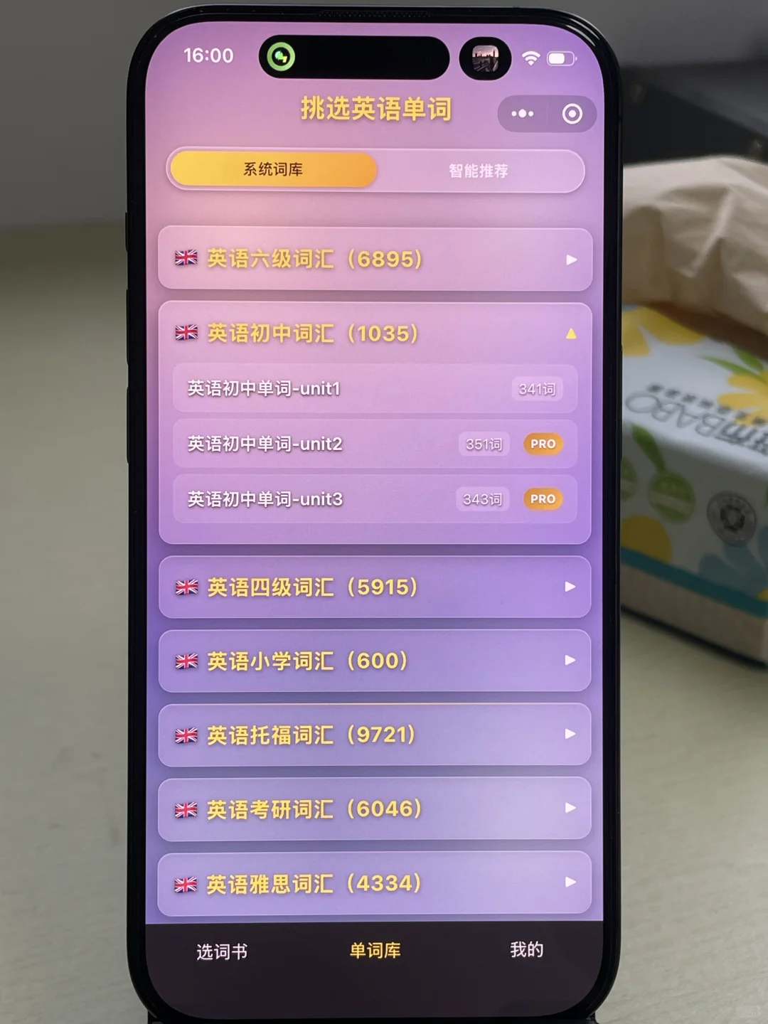 关于我开发的13国语言背单词软件
