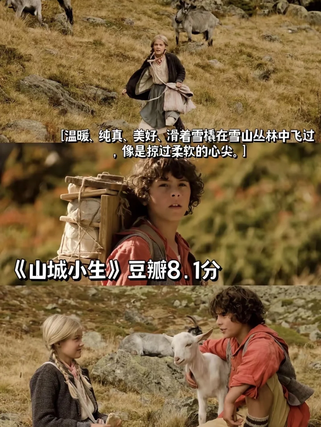 拒绝内耗，请狂刷这7部治愈系电影🎬