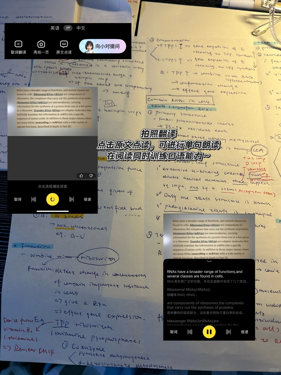 这是啥我咋看不懂