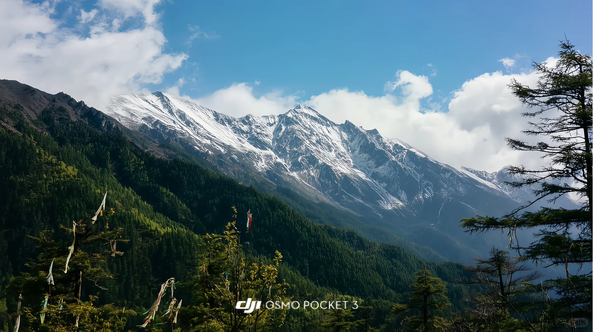 我愿称Pocket3为行走的电影感制造机！🎬附参