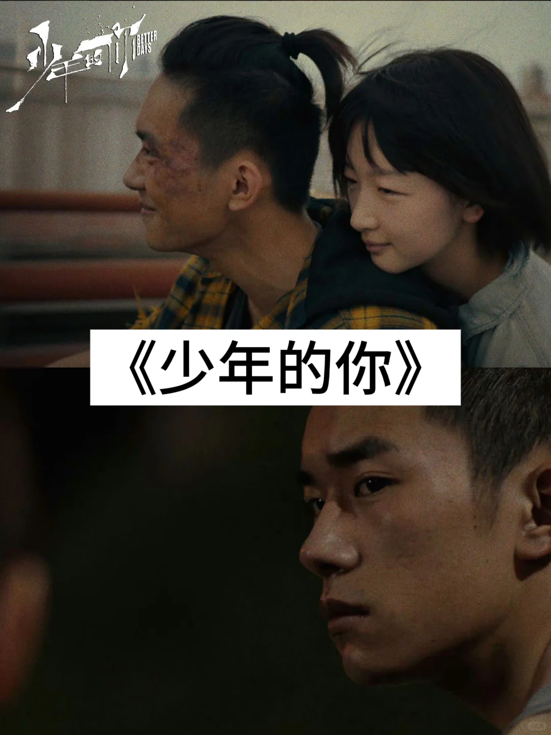 青春电影大放送！七部佳作唤醒你的年少回忆