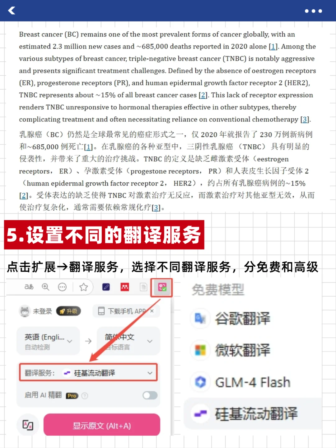 沉浸式翻译插件安装教程🔥科研小白必须会！