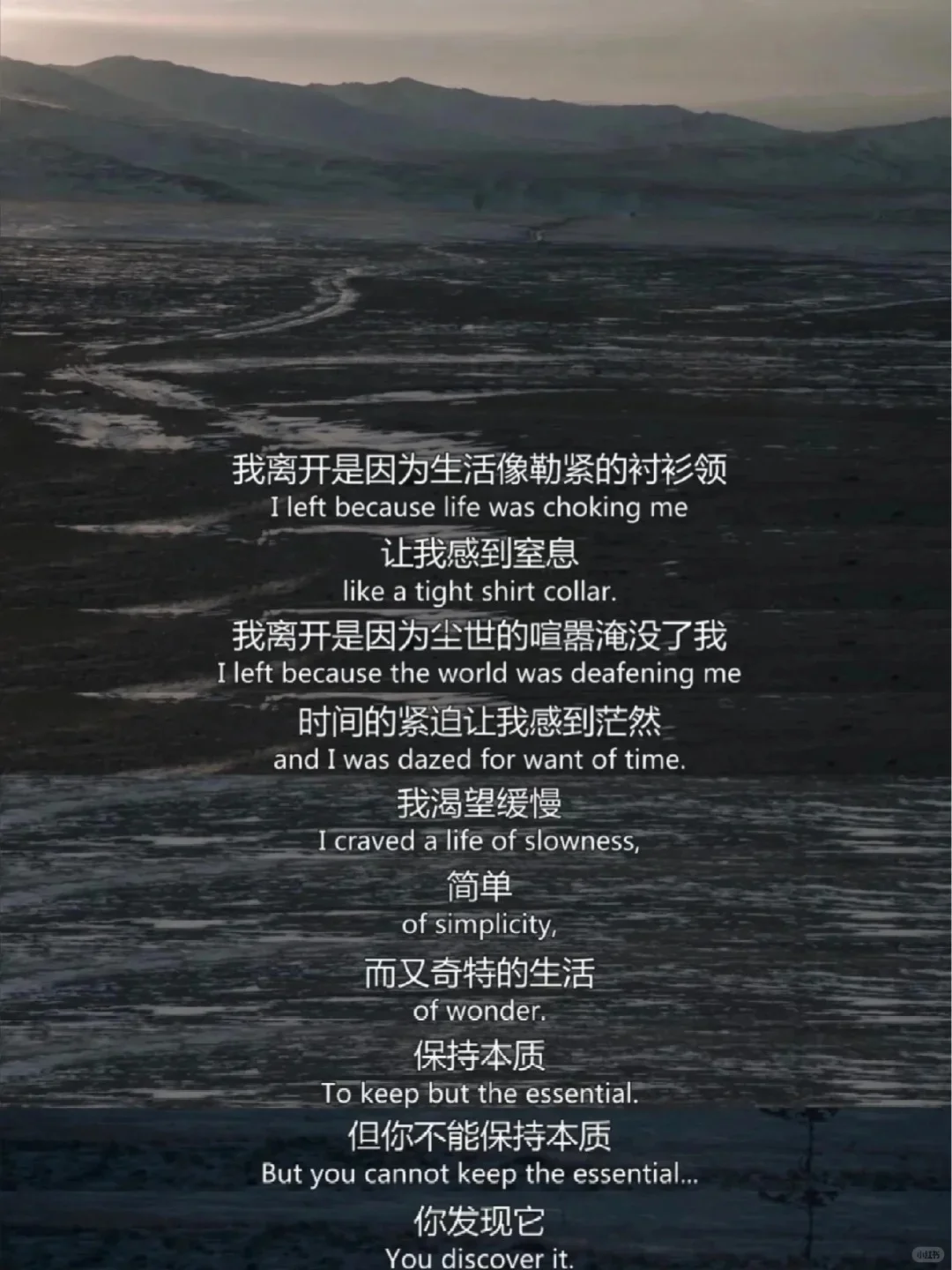 我真的好喜欢这部电影,已三刷❗️❗️