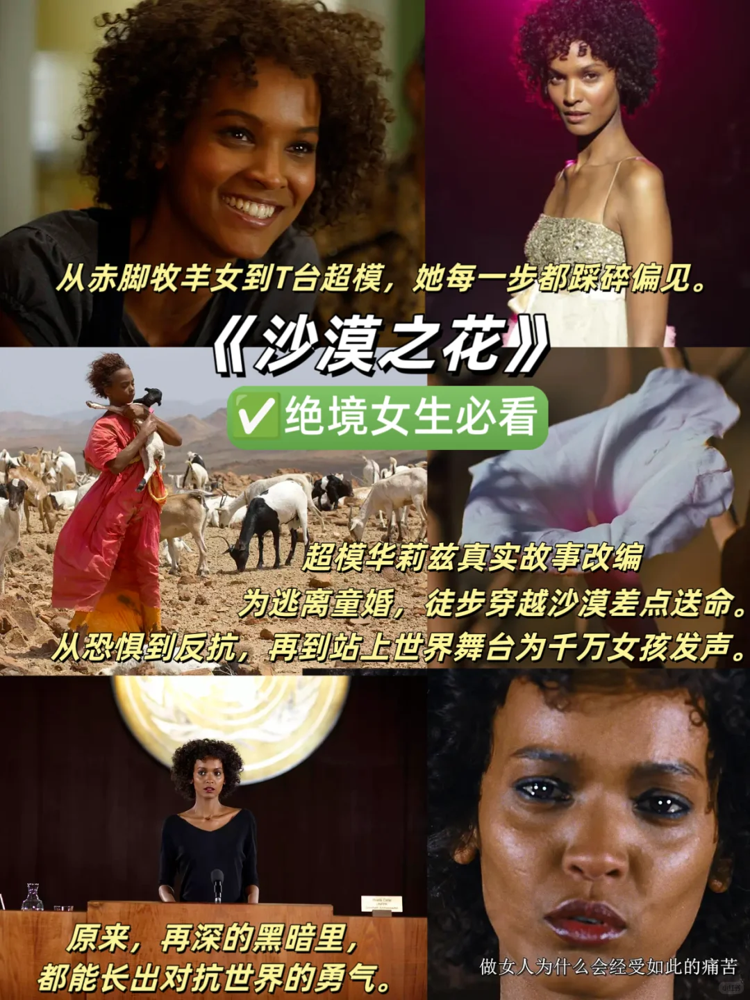 女生必看|摆脱低谷内耗9部顶级女性成长电影