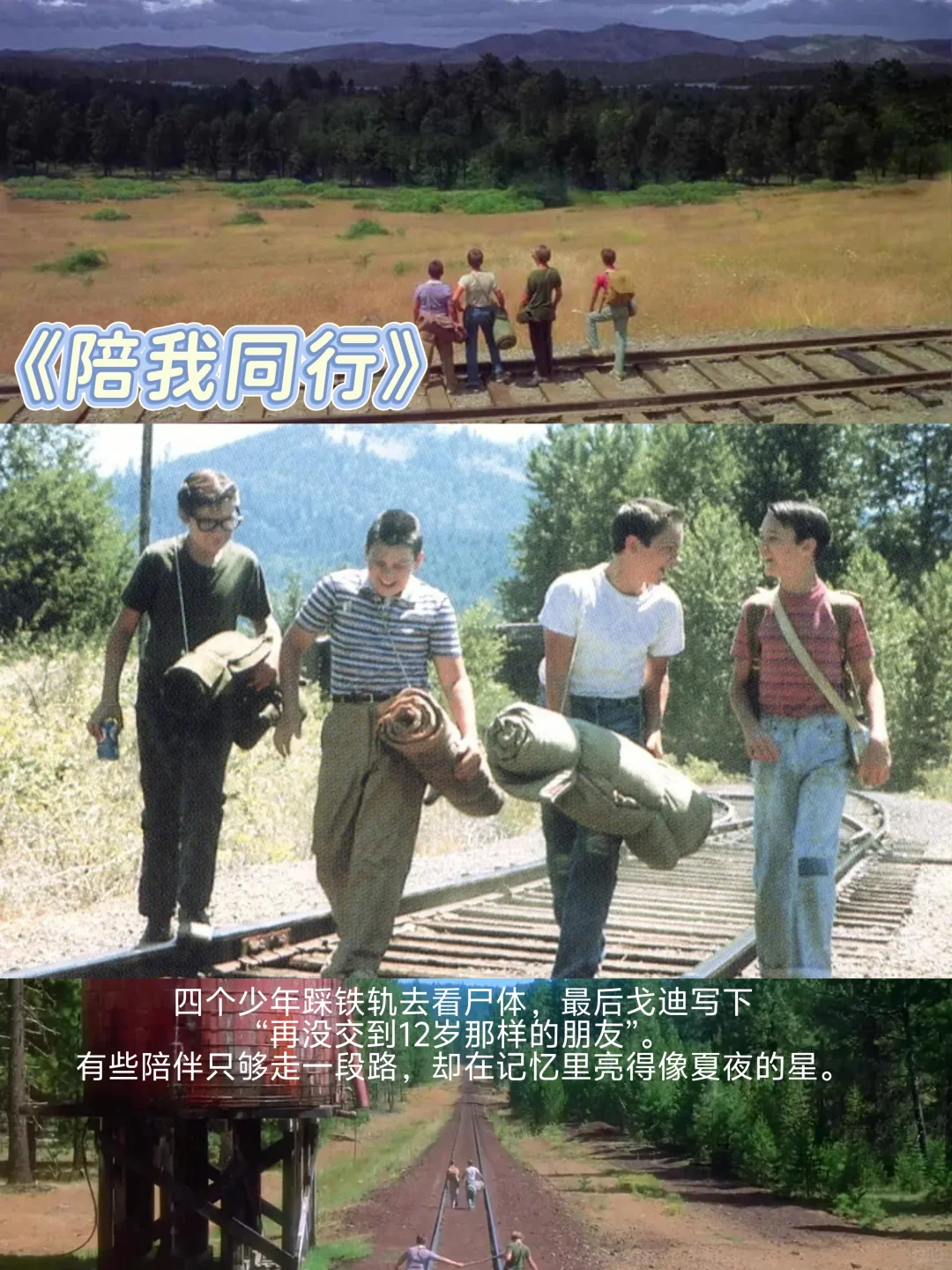 那些没刻在影史丰碑上，却留在我心里的电影