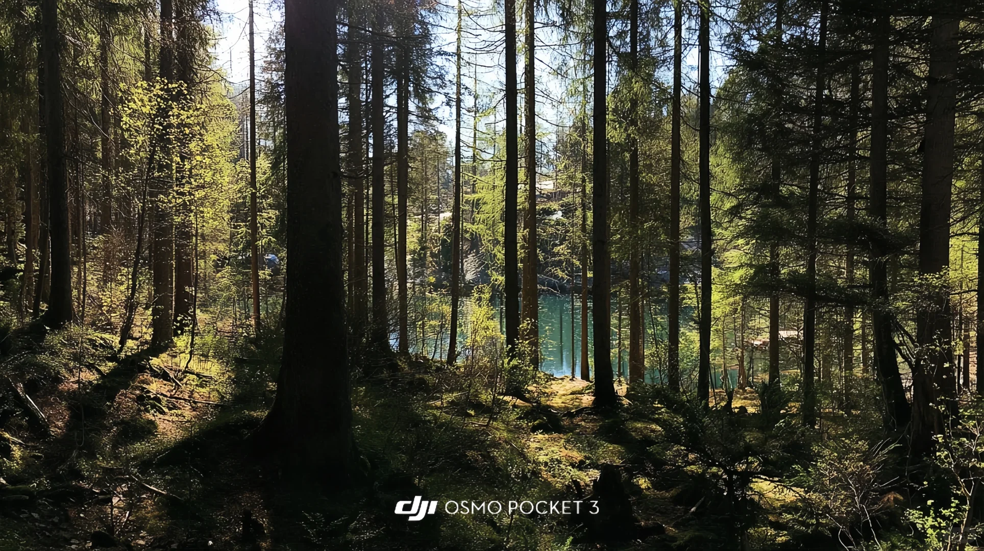 我愿称Pocket3为行走的电影感制造机！🎬附参