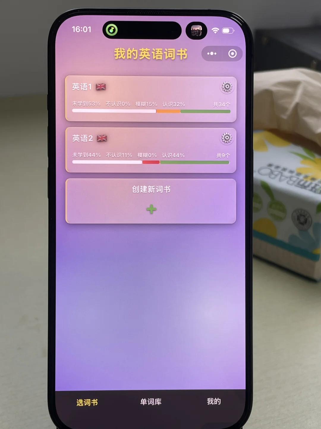 关于我开发的13国语言背单词软件