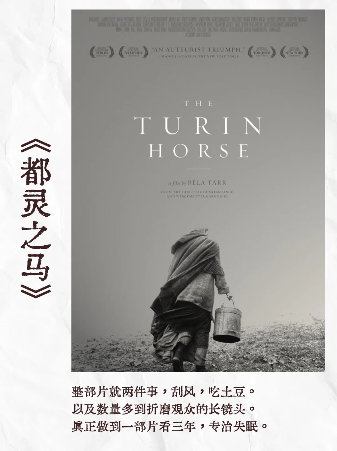 为了装文艺比，你都看过哪些电影