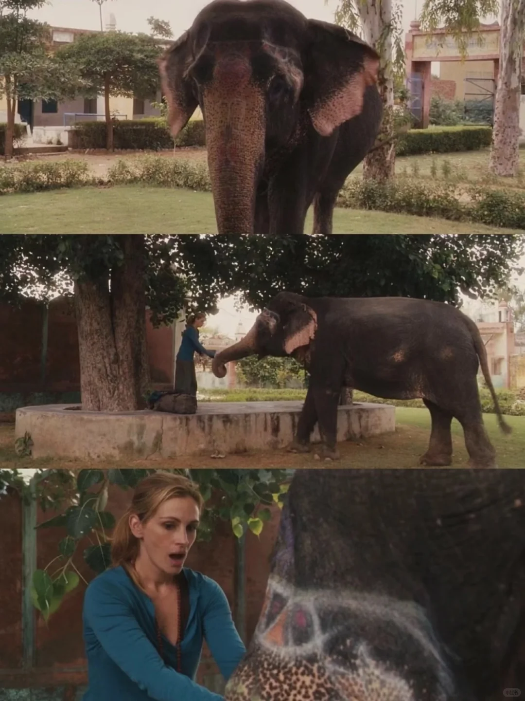 本人最爱的人生电影‼️没有之一‼️