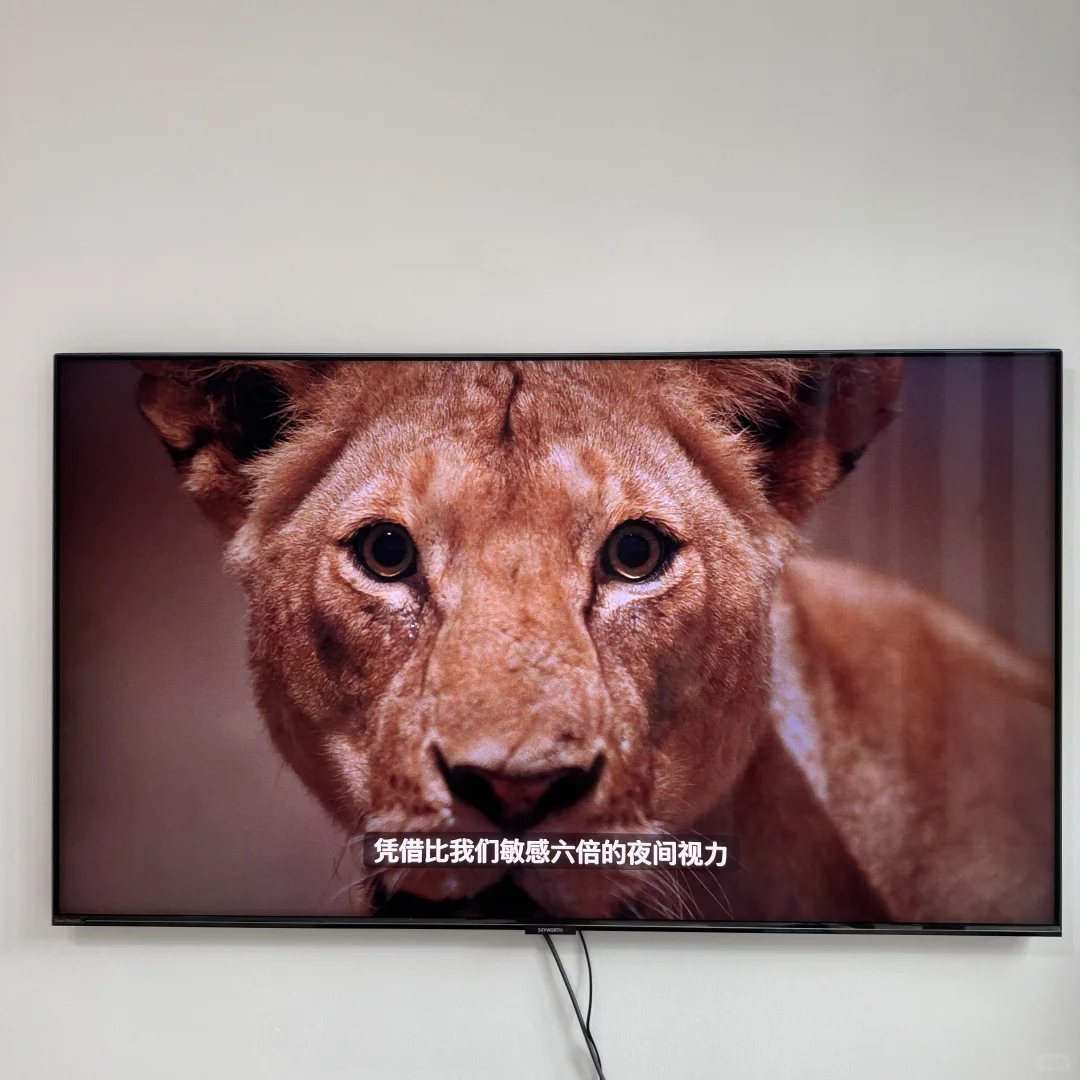 在新加坡也能买到国产电视，性价比超高！