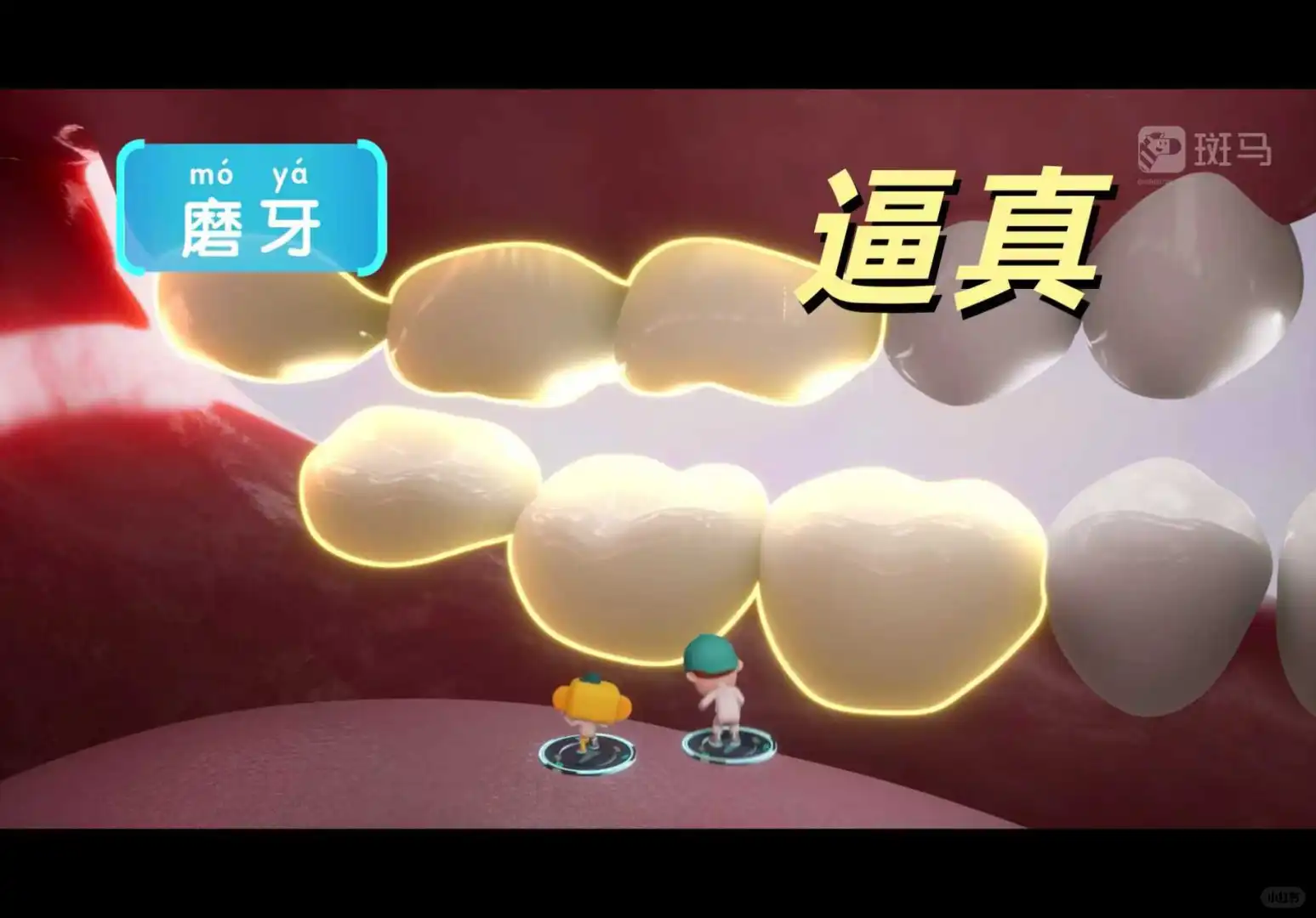 斑马老用户掏心窝的话，别直接买斑马百科会