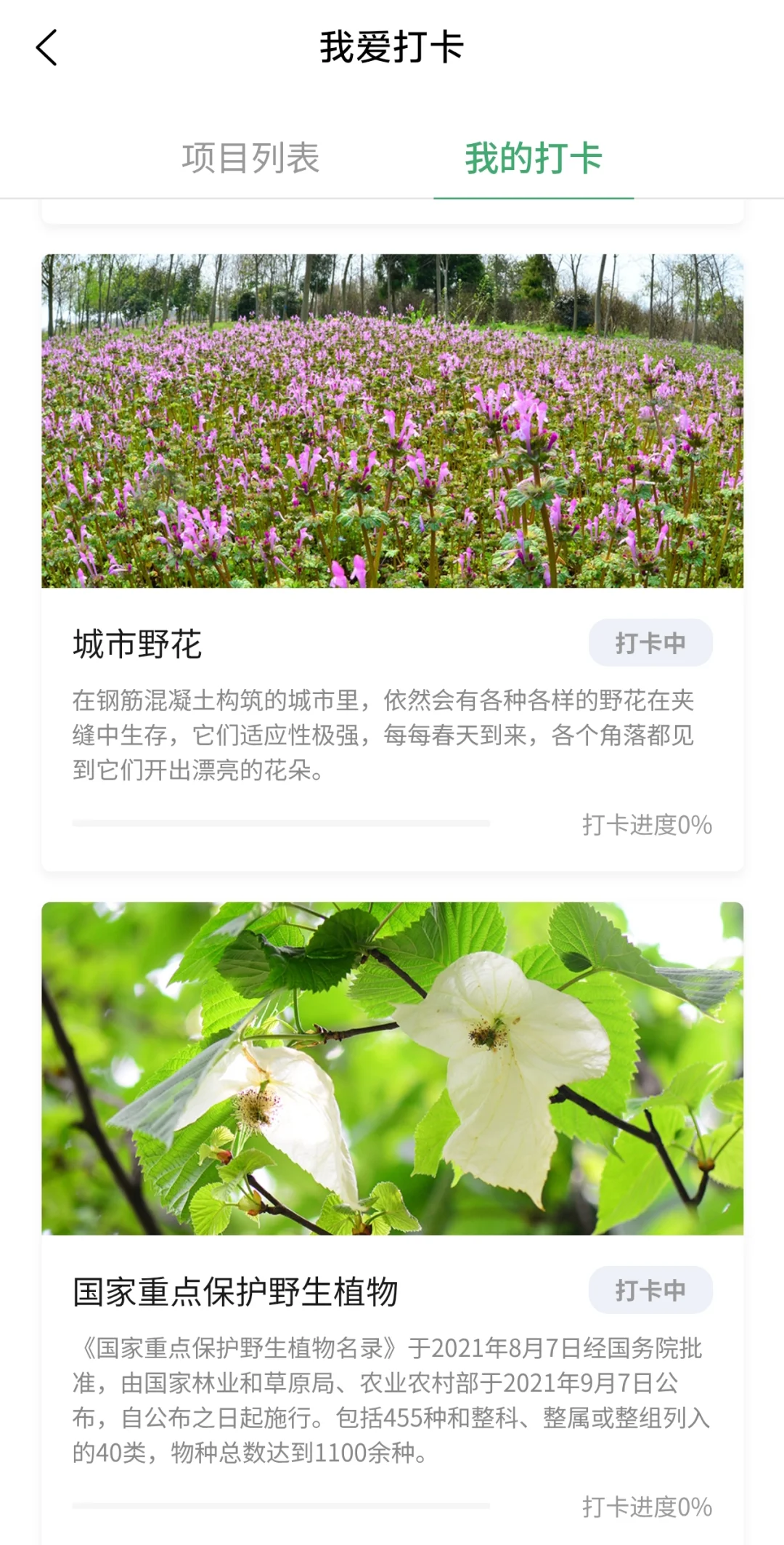 安利一款自然观察管理APP——加新笔记