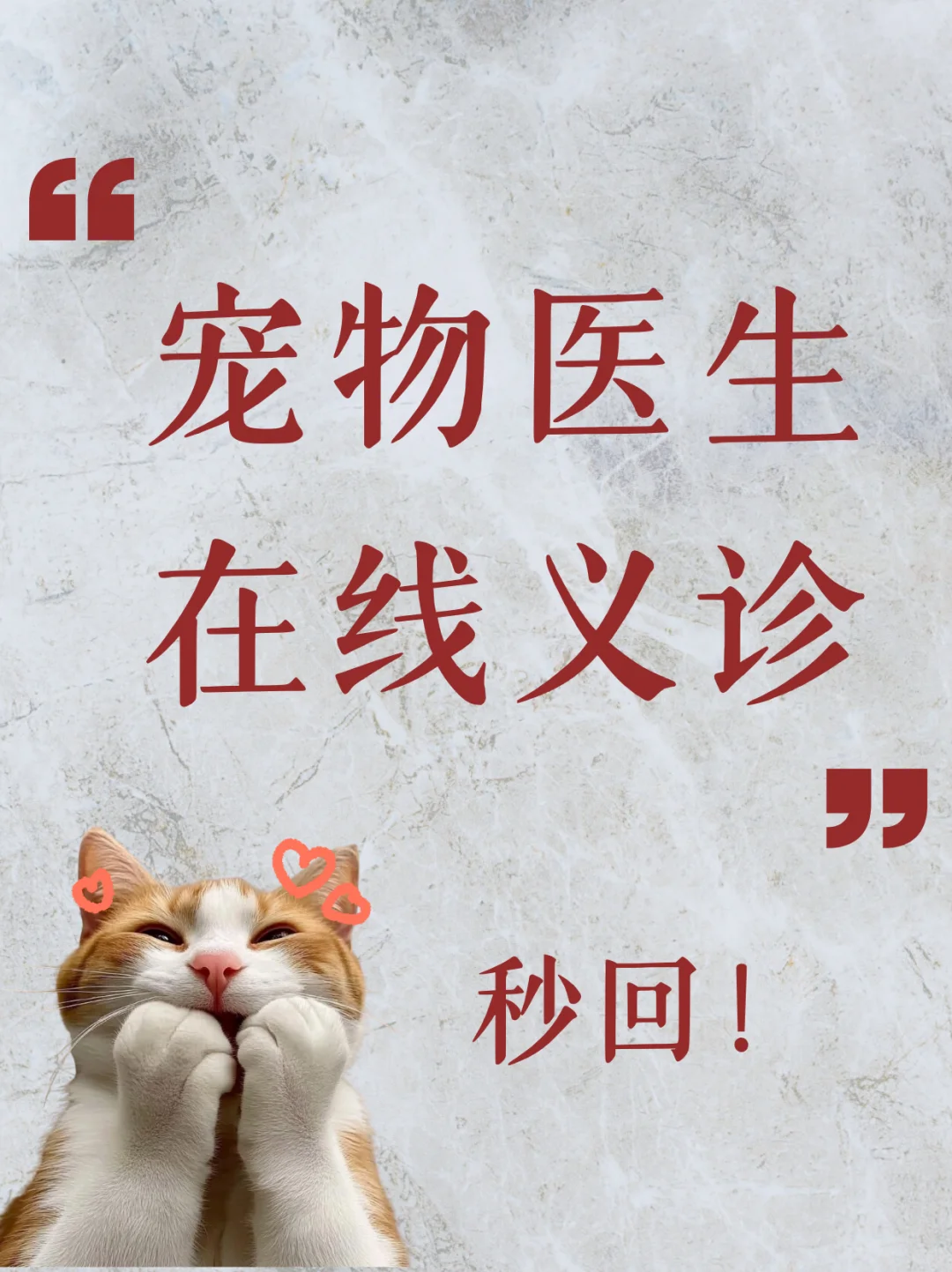 宠物医生在线义诊、秒回！