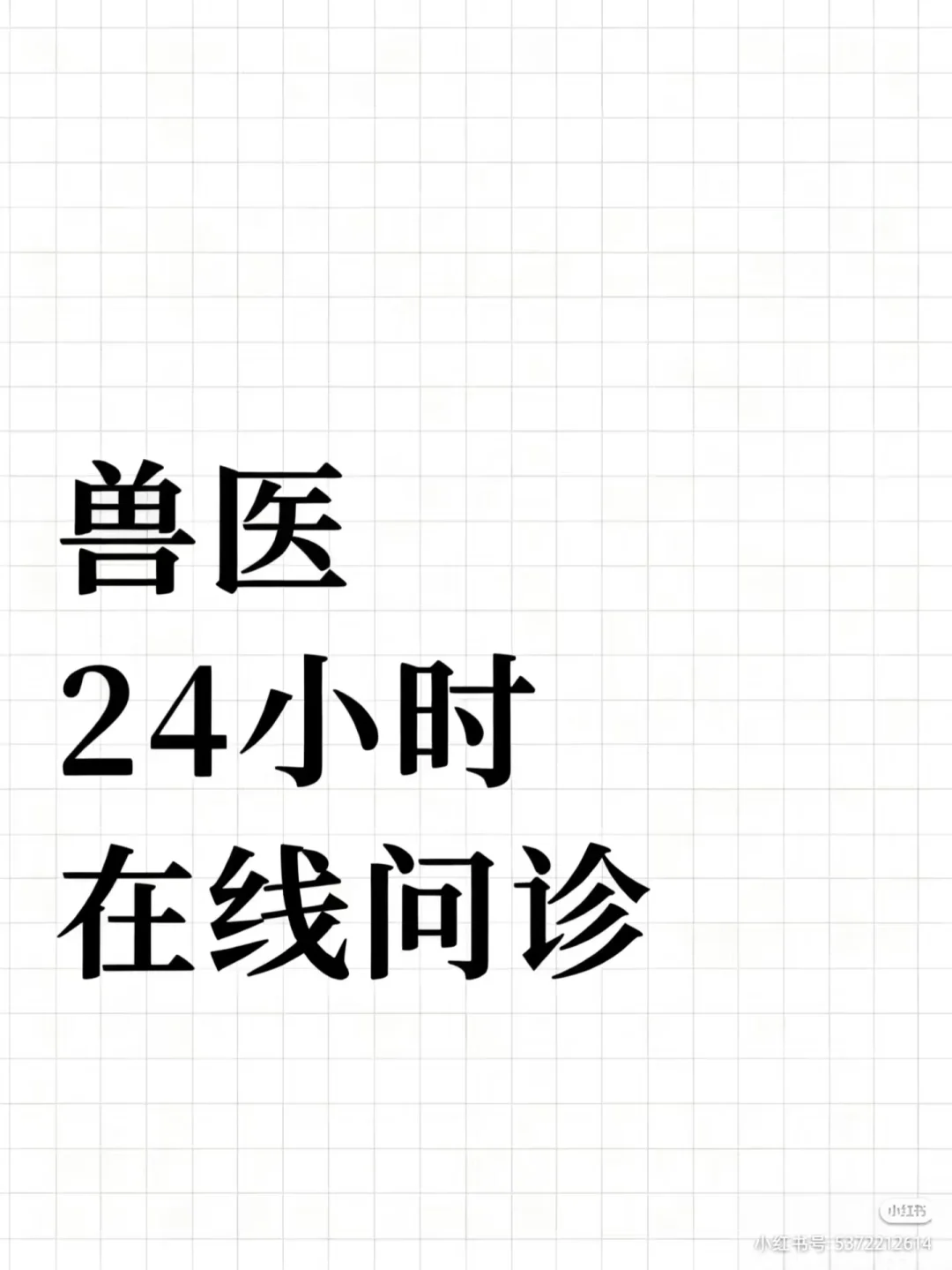 宠物医生在线问诊！速回！