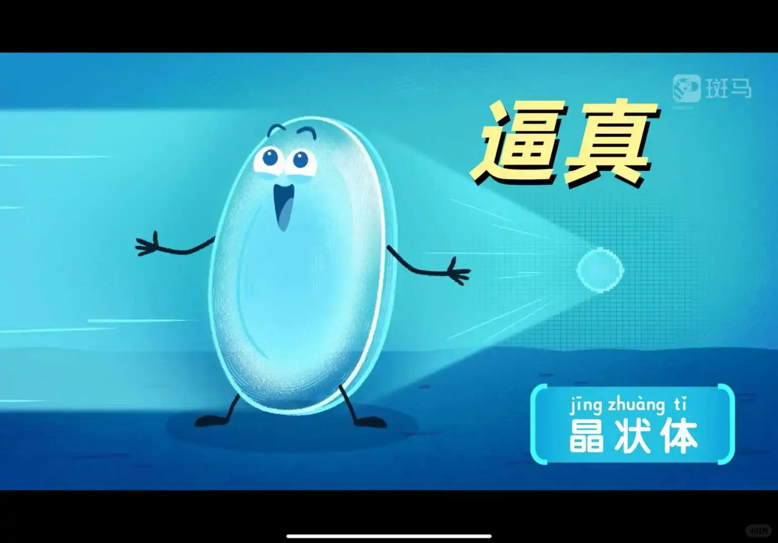 斑马老用户掏心窝的话，别直接买斑马百科会