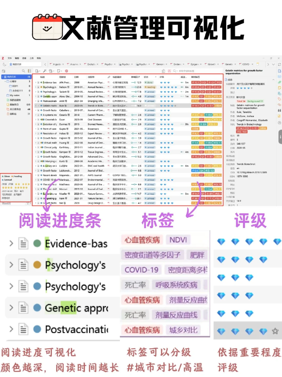 我c Zotero插件这么绝 配置上了