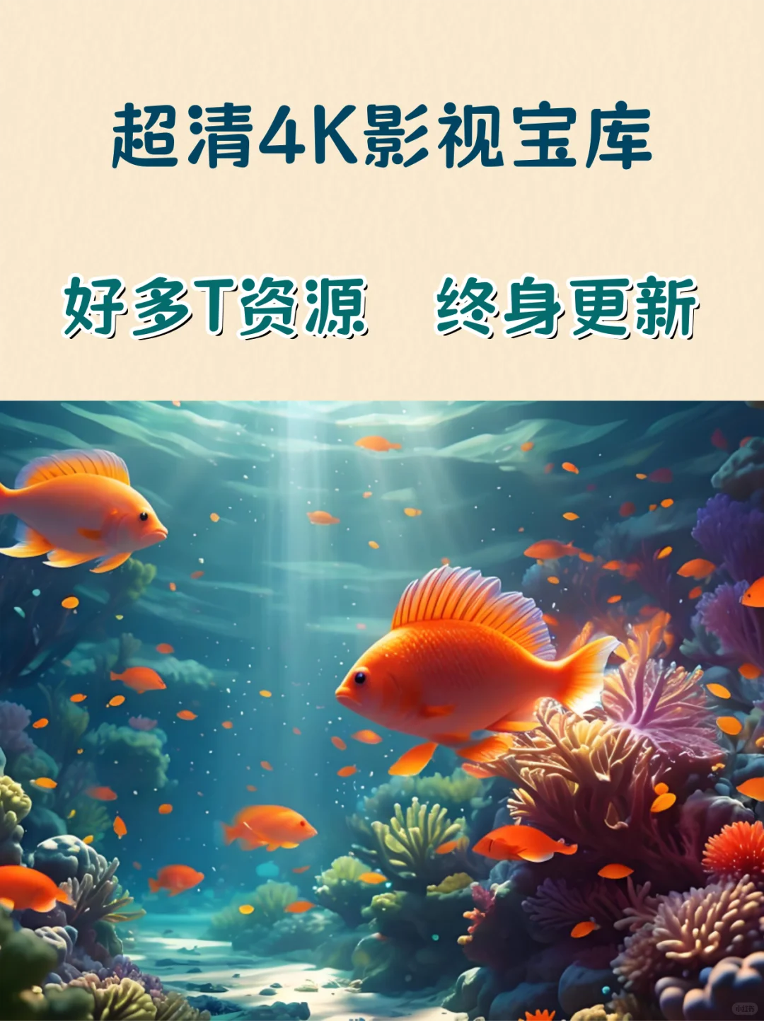 私藏100000T的影视资源宝库，欢迎来取