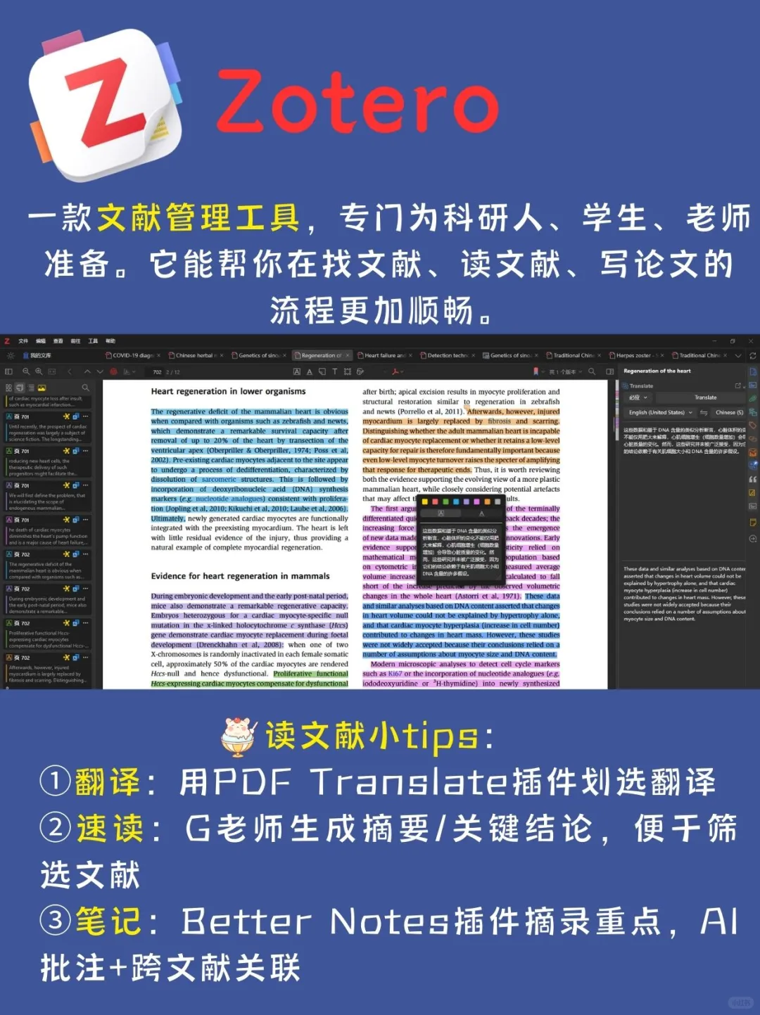 我c Zotero插件这么绝 配置上了